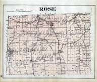 Rose 001, Wayne County 1904